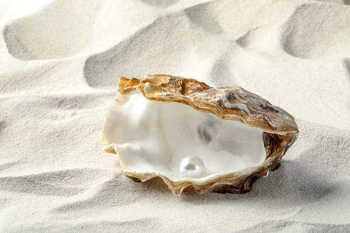 An oyster on the half-shell with a pink pearl, set on a rocky beach with a lighthouse in the background.