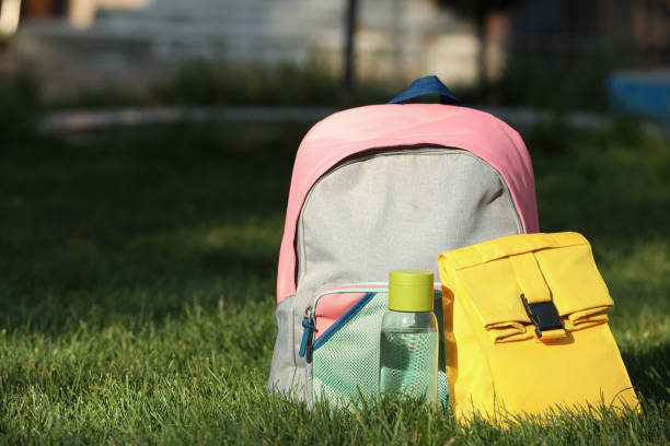 istock Backpack, lunch bag and bottle of water on green grass outdoors, space for text 1413648503