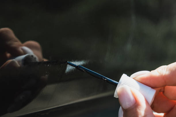 Touching up a body car with a small brush by a young woman stock photo