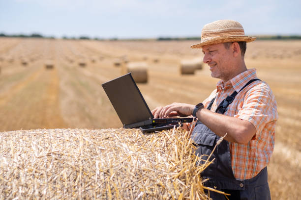 cheerful farmer in a field full of straw bales - photography gray hair farmer professional occupation imagens e fotografias de stock