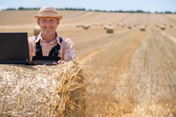 cheerful farmer in a field full of straw bales - photography gray hair farmer professional occupation imagens e fotografias de stock