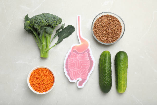 istock Layout of gastrointestinal tract model and products to help digestion on light marble table, top view 1413653859