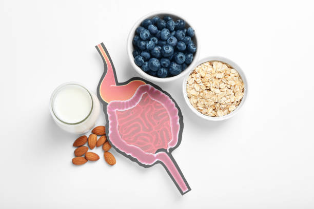 istock Gastrointestinal tract model and products to help digestion on white background, top view 1413654383