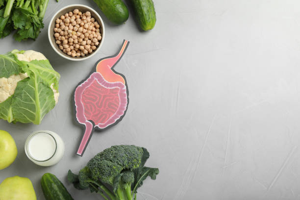 istock Layout of gastrointestinal tract model and products to help digestion on light table, top view. Space for text 1413654389
