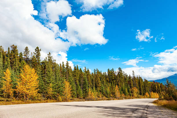 istock The highway in the Rocky Mountains 1413656054