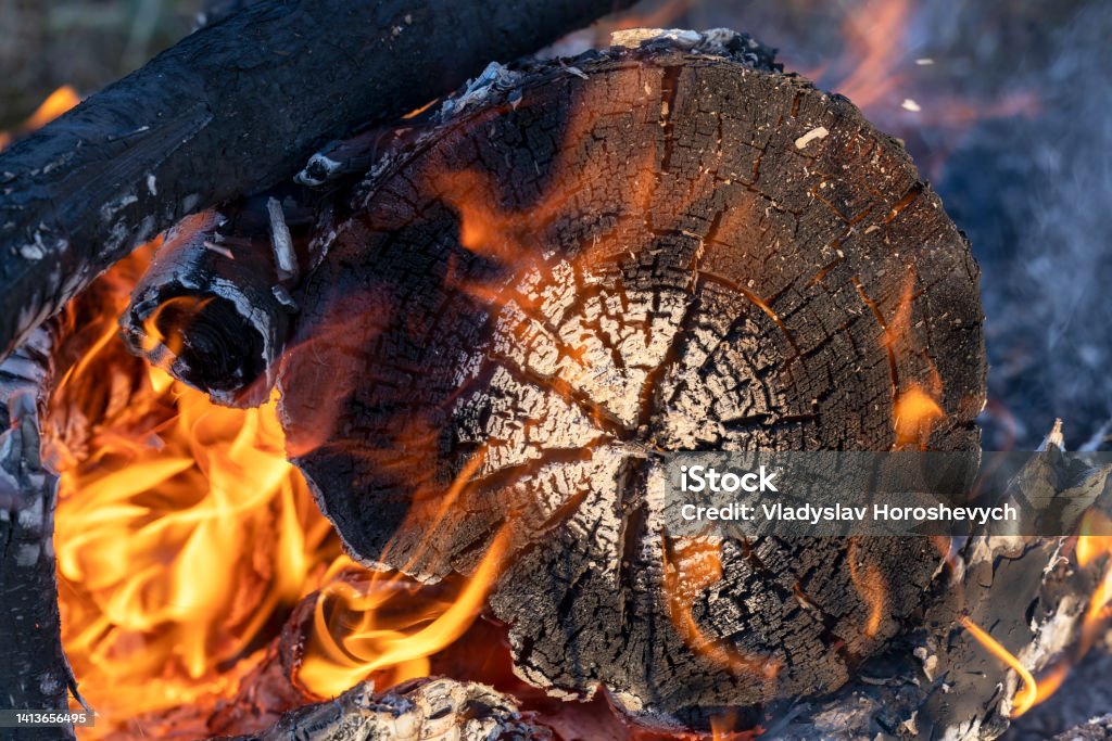 Burning firewood, burnt stump on fire, beautiful burnt wood pattern, wood texture, rings Advertisement Stock Photo