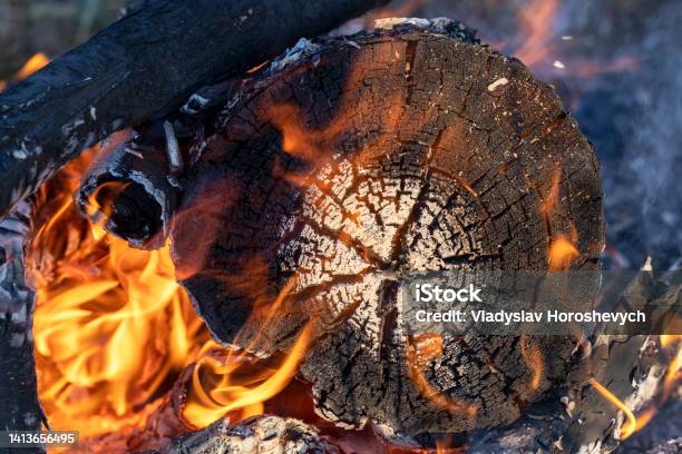 Burning Firewood Burnt Stump On Fire Beautiful Burnt Wood Pattern Wood Texture Rings Stock Photo - Download Image Now