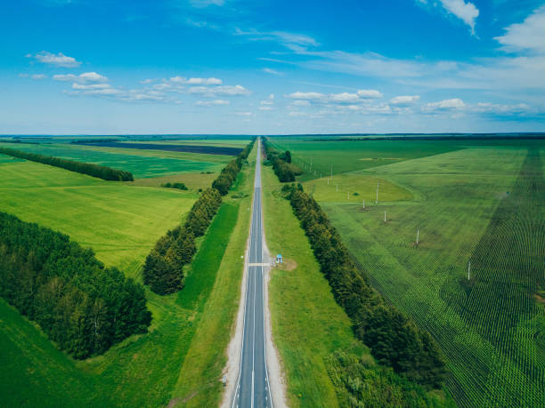 istock The road through the fields. View from a height. Agricultural fields. 1413660745
