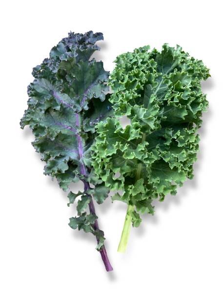 istock fresh green kale leaves isolated 1413660930