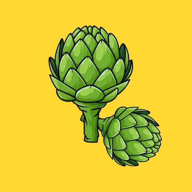 Vector illustration of artichokes