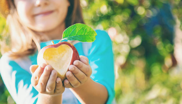 istock Girl Wearing Hat Holding Fresh Apple 1413663357