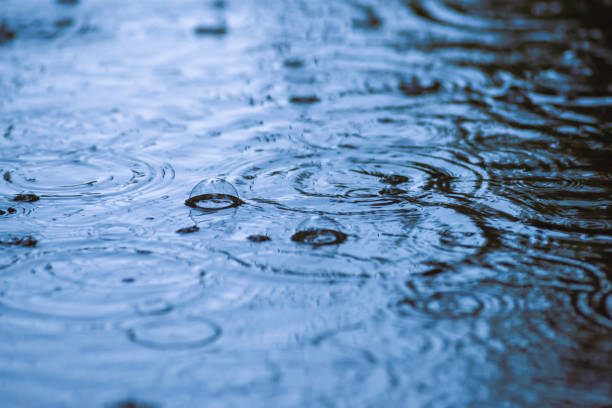 istock rain puddle circles, aqua abstract background, texture autumn water. 1413664004