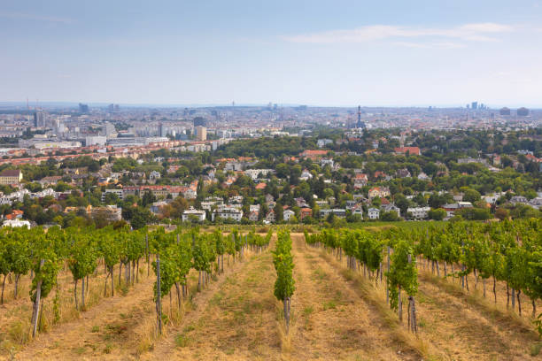 istock View from Nussberg towards Vienna 1413665385