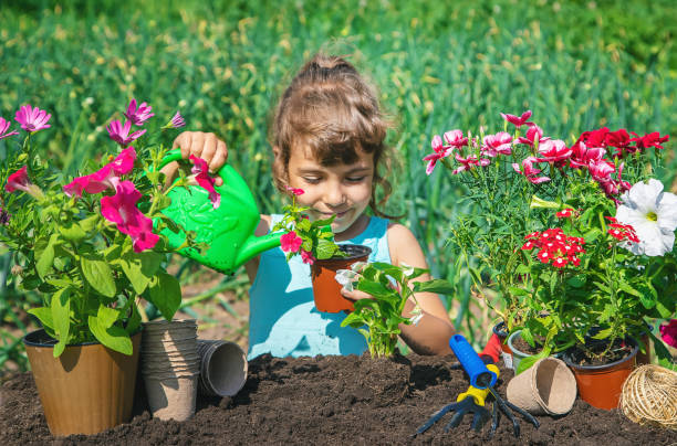 istock High Angle View Of Girl Picking Flowers 1413668270