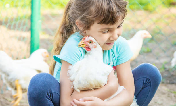 istock Cute Girl Embracing Hen 1413668820