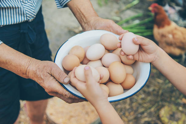 istock Midsection Of Man Holding Bird 1413669733