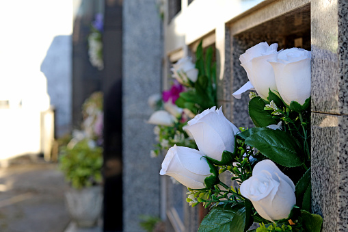 Flowers in niches of a cemetery