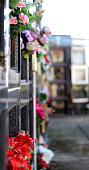 blumen-in-nischen-eines-friedhofs.jpg?b=1&s=170x170&k=20&c=F9cgi7XZh5Dkddt2H2aLMi7Zw6_-SUnrwPEZApEcE7g=