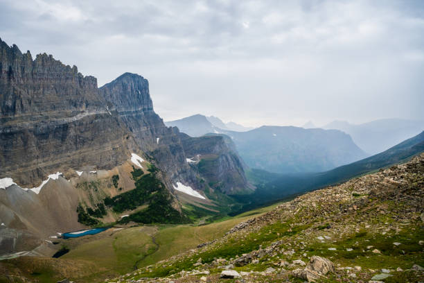 vista de piegan pass olhando para baixo em muitas geleiras - montana mountain meadow flower - fotografias e filmes do acervo