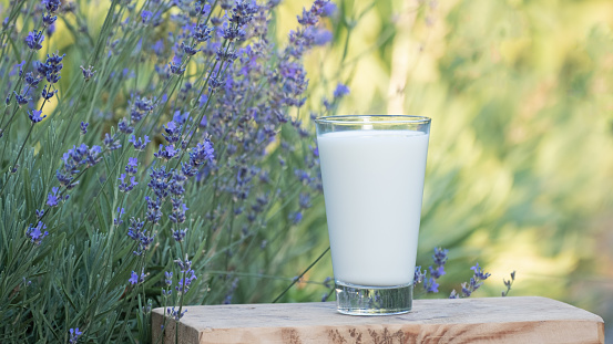 Milk in the glass. Organic food and drink. Organic milk pour from bottle outdoors. Concept of healthy eating, natural product, healthy lifestyle. Fresh milk pouring in glass slow motion