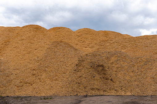 a mountain of sawdust. a product of wood processing. mountains of wood chips and sawdust against a sky. A huge mountain of sawdust at a sawmill