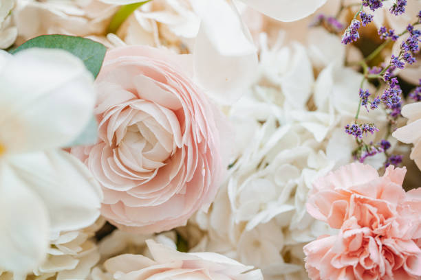 istock Beautiful flowers close-up 1413685742
