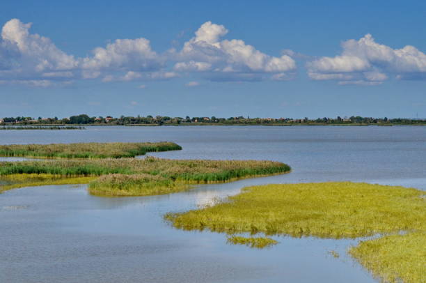 istock Po River and Delta in Italy.  September 22, 2015 1413686925