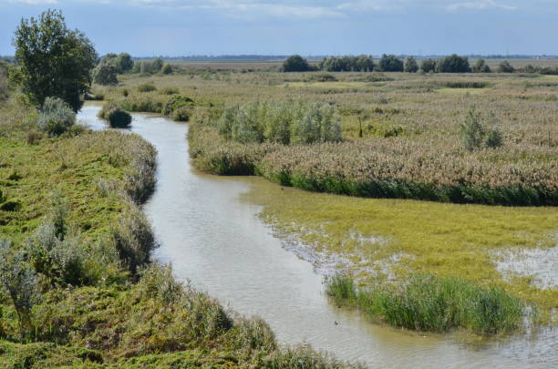 istock Po River and Delta in Italy.  September 22, 2015 1413686947