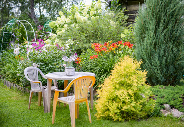 istock beautiful ornamental garden 1413688858
