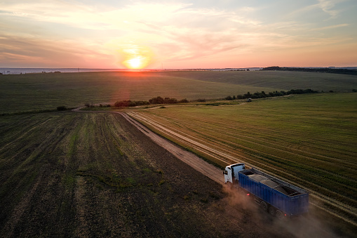 Aerial view of cargo truck driving on dirt road between agricultural wheat fields making lot of dust. Transportation of grain after being harvested by combine harvester during harvesting season.