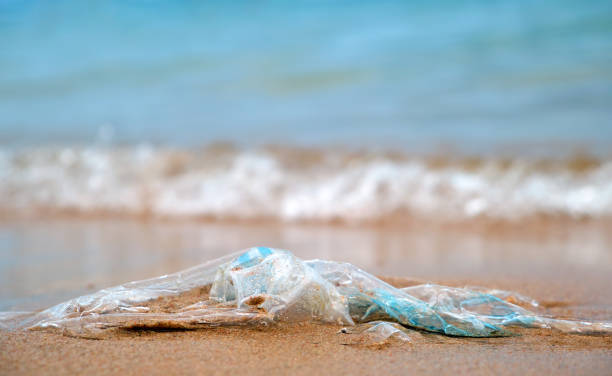 istock Left behind plastic bag garbage on sandy beach. Empty used dirty litter on sea shore. Environmental pollution. Ecological problem 1413693109