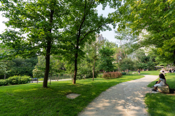 parque kariya. un jardín japonés situado en el centro de mississauga. ontario, canadá - mississauga fotografías e imágenes de stock