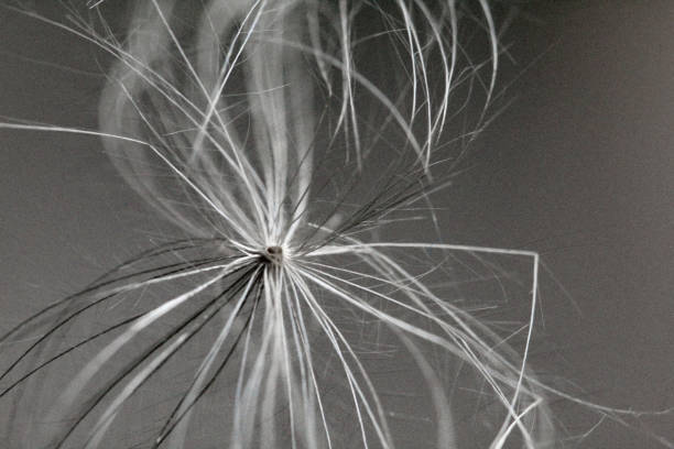 istock Abstract fibers 1413697420