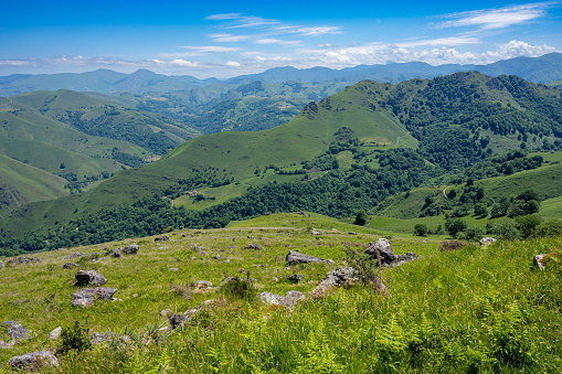Mountain landscape in Pyrenees on the Camino de Santiago with blue sky and pasture land.