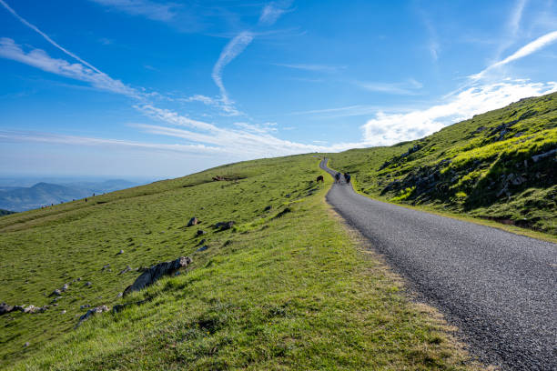 Mountain road at sunrise in the Pyrenees on the Camino de Santiago.