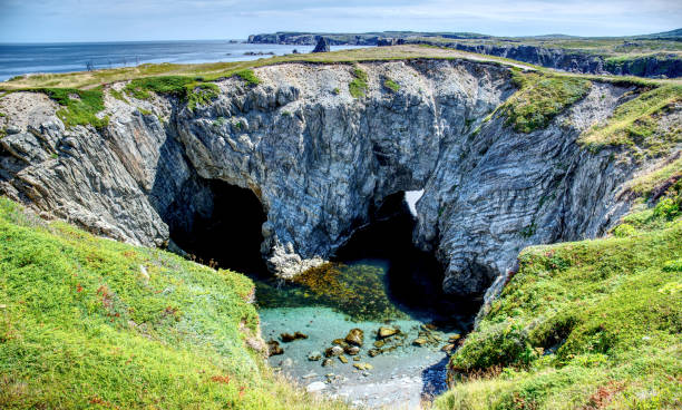 The Dungeon, Cape Bonavista, Newfoundland The Dungeon, Cape Bonavista, Newfoundland newfoundland & labrador stock pictures, royalty-free photos & images