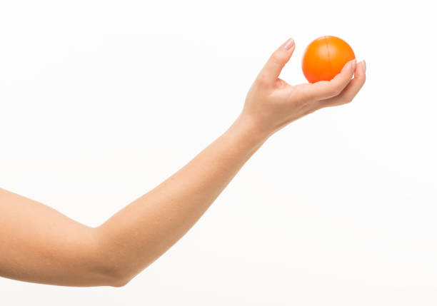 istock female hands holding an orange sponge ball on a white background isolated 1413700843