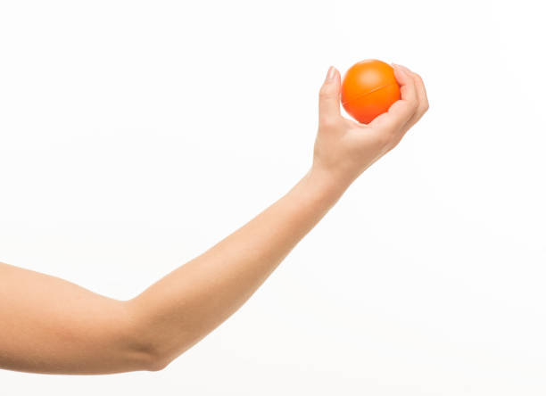 istock female hands holding an orange sponge ball on a white background isolated 1413700845