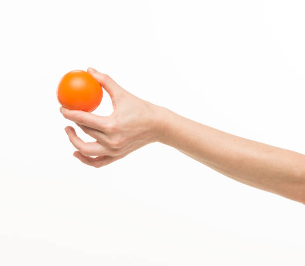 istock female hands holding an orange sponge ball on a white background isolated 1413700866