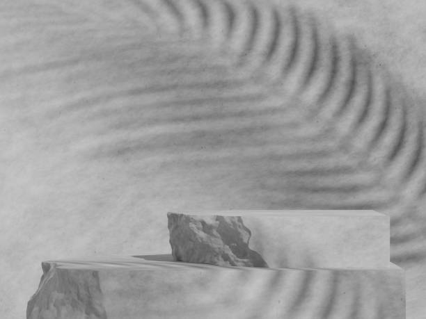 istock Abstract geometric composition with branch and shadow on the wall, Natural stone step pedestal. 3D render. Mock up for exhibitions. 1413703718