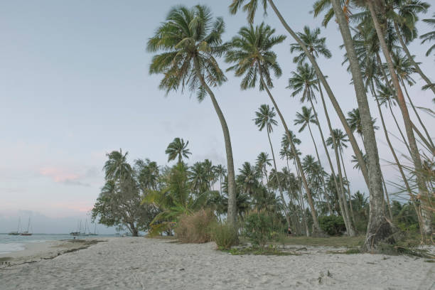 istock Beach and Palm Trees Moorea French Polynesia 1413703915