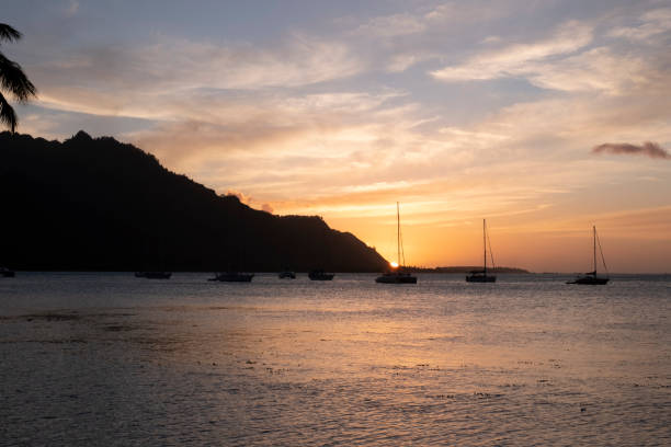 istock Sunset in Moorea French Polynesia 1413703924