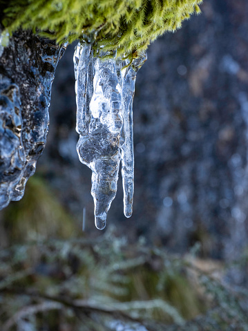 Icicles hanging from rock