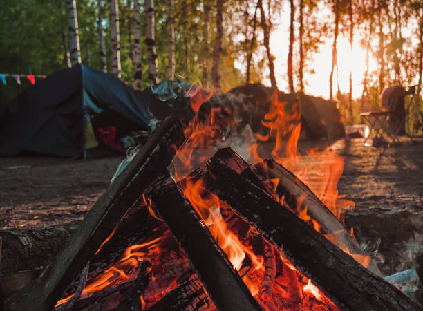 istock Burning campfire in a forest. Bonfire close up. Autumn relax camping mood 1413711247