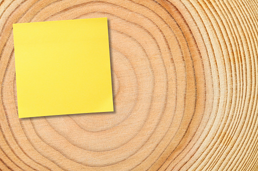 Overhead shot of blank yellow sticky note on a tree ring.