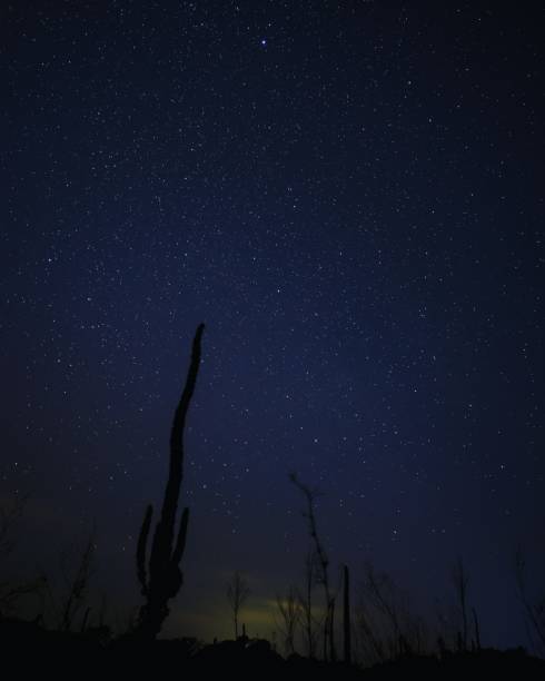 istock Night Over the Prairie 1413716386