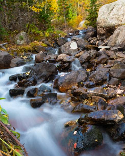 istock Mountain Stream Rushes Through Autumn Woods 1413716393