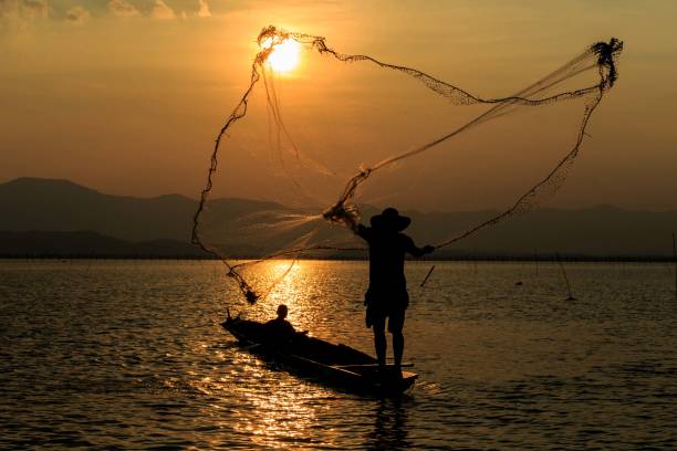 640+ Fisherman Throwing Fishing Net During Sunrise Stock Photos, Pictures &  Royalty-Free Images - iStock