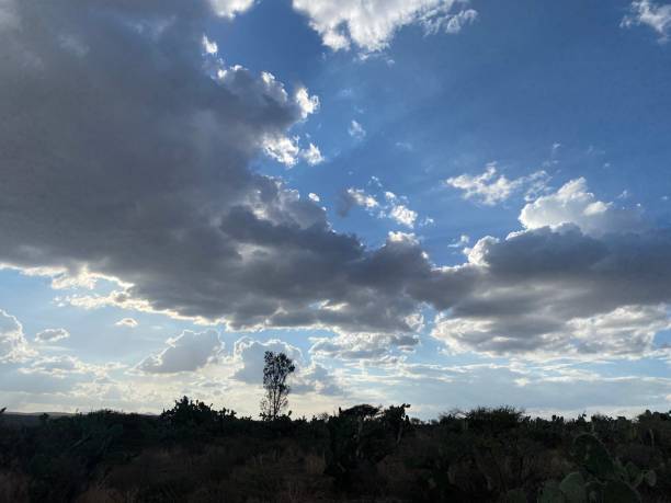 istock arid landscape with blue sky and clouds in the background 1413718851