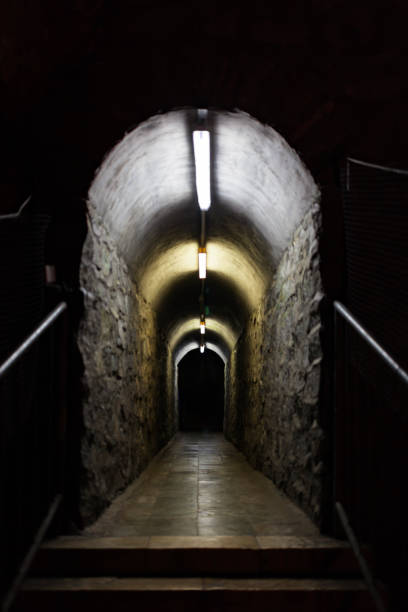 지하로 이어지는 터널, 동굴 입구 - dullstroom 뉴스 사진 이미지
